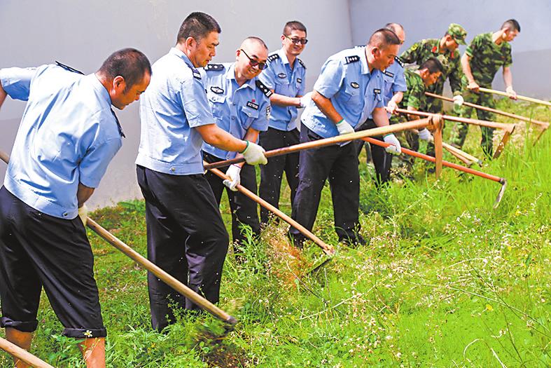 清除杂草美化监区.jpg 清除杂草美化监区.jpg