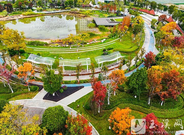 红塔区人民政府