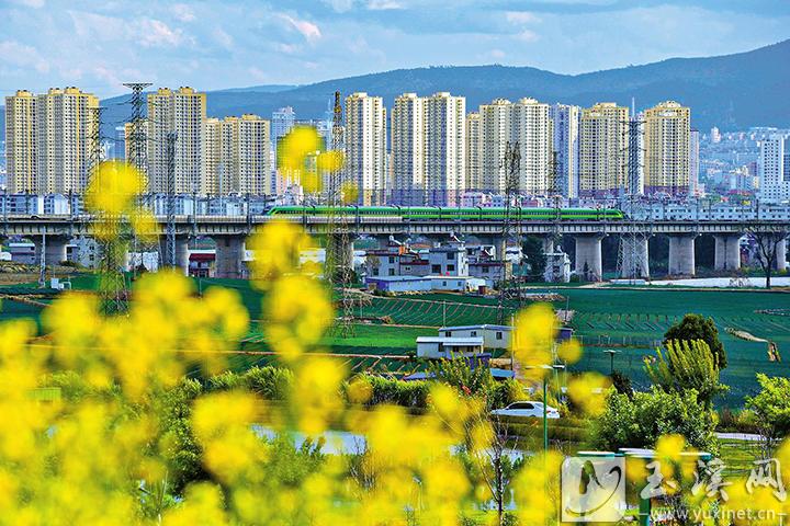 红塔区人民政府