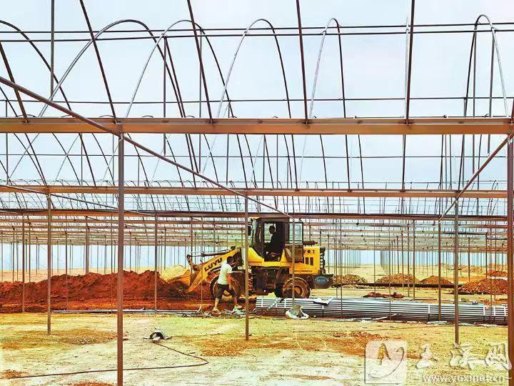 微信图片_20260325102456.jpg 微信图片_20260325102456.jpg