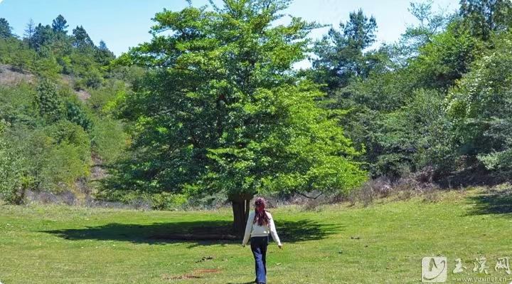 红塔区洛河乡高鲁山春韵