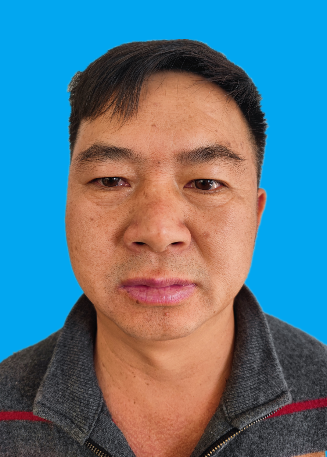 八组副网格长董家巧(八组组长).png 八组副网格长董家巧(八组组长).png
