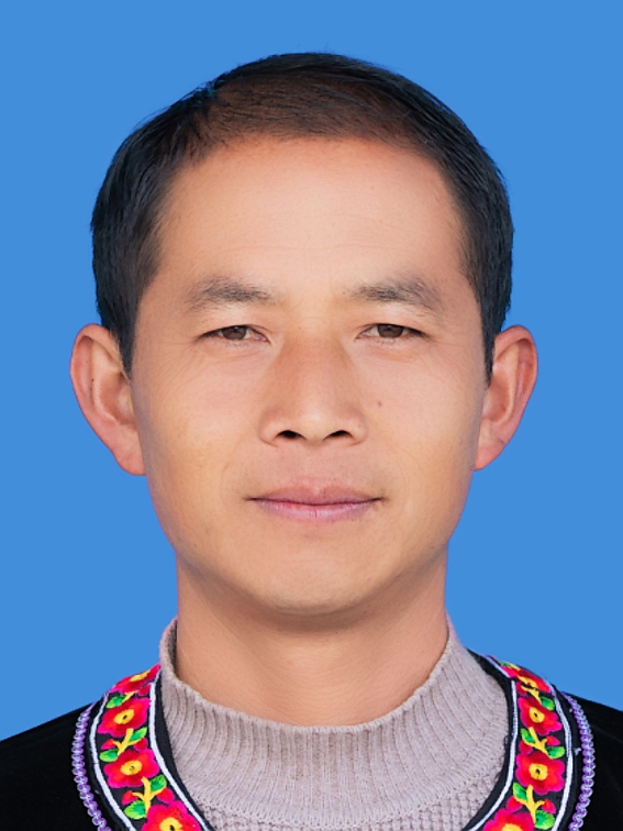 普丽平.jpg
